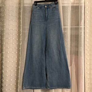 Anthropologie Pilcro Wide Leg Trouser Jeans - 26